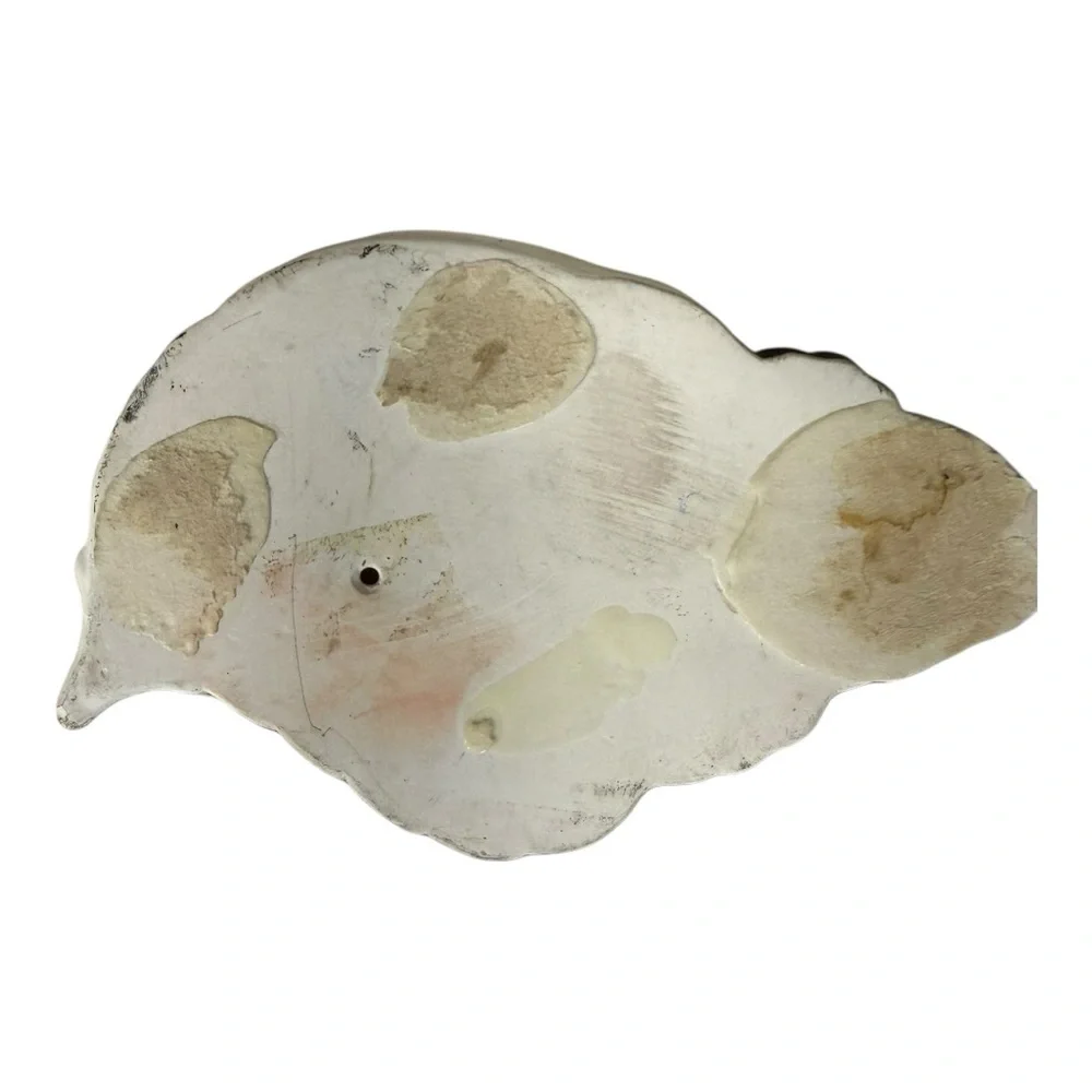 Sea Shell‎ Wall Pocket Vase